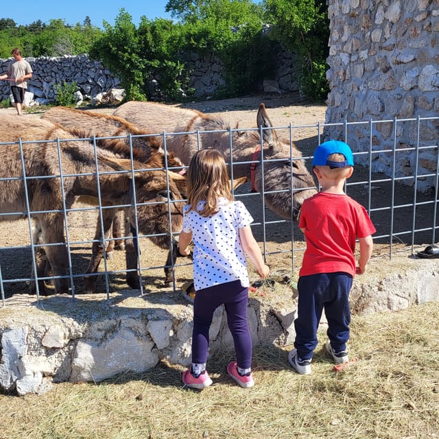 Šmrika (near Rijeka/Krk/Crikvenica) Donkey Farm Entry Ticket - Farm Features and Amenities