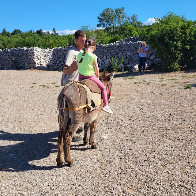 Šmrika (near Rijeka/Krk/Crikvenica) Donkey Farm Entry Ticket - Directions to the Farm