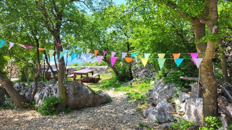 Šmrika (near Rijeka/Krk/Crikvenica) Donkey Farm Entry Ticket - Donkey Rides and Activities