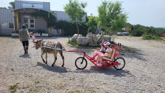 Šmrika (near Rijeka/Krk/Crikvenica) Donkey Farm Entry Ticket - Frequently Asked Questions