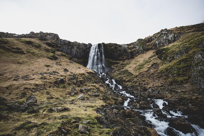 Snæfellsnes Peninsula Day Trip Including a Local Farm Meal - Highlights of the Trip