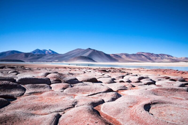 Snails: Red Stones of Atacama and Chaxa Guided Day Trip - Key Points