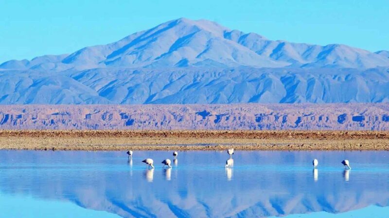 Snails: Red Stones of Atacama and Chaxa Guided Day Trip - Frequently Asked Questions