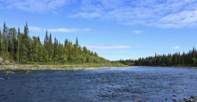 Snake River Full–Day Group Fishing Trip - Cancellation and Payment
