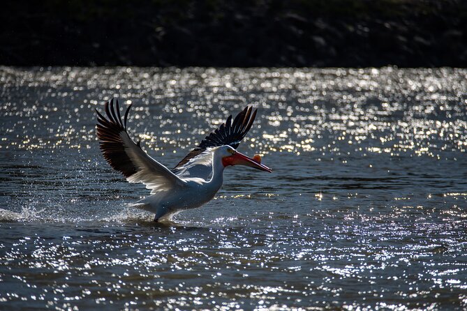 Snake River Scenic Float Private Guided Tour - Tour Experience