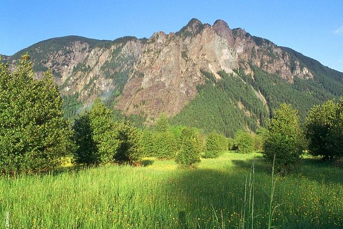 Snoqualmie Falls and Seattle Winery Tour - Winery Tastings in Woodinville