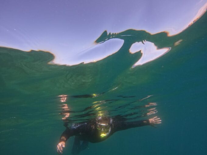 Snorkeing in Tenerife Sur: Discovering the Underwater World - Safety and Expert Guidance