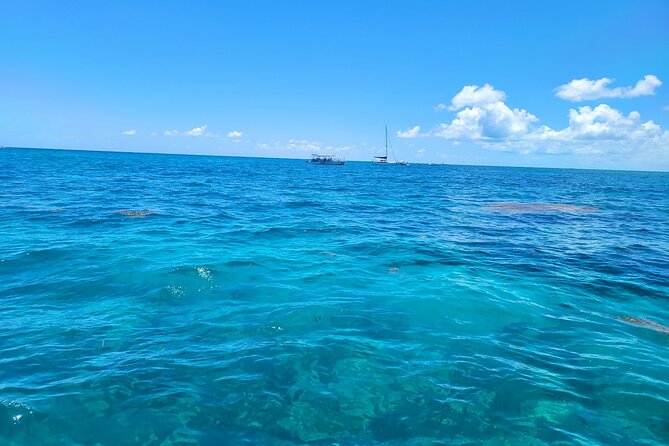 Snorkel Adventure at Looe Key - Tour Confirmation and Ending