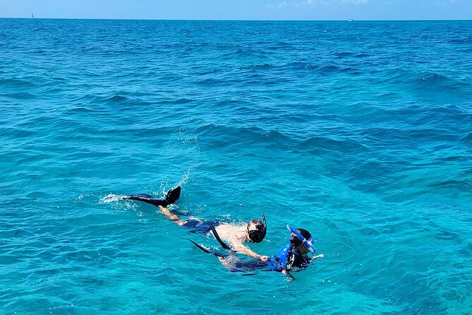 Snorkel Adventure at Looe Key - Memorable Highlights