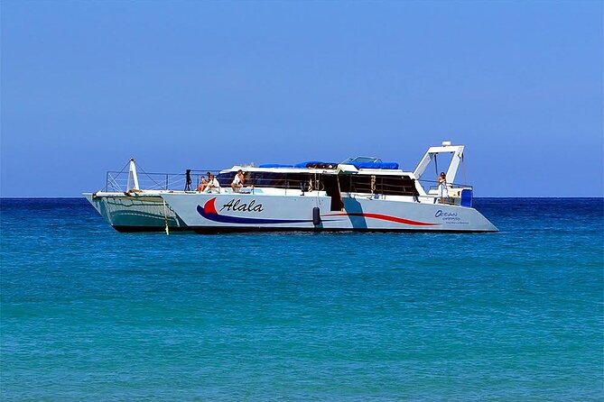 Snorkel Adventure From Kawaihae Harbor - Key Points