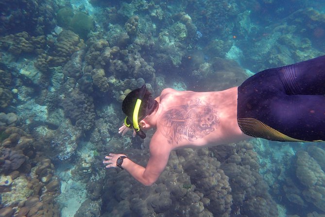 Snorkel Adventure Sea Tour to Koh Rok and Koh Haa From Koh Lanta - Important Considerations