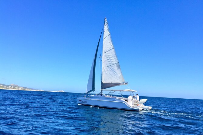 Snorkel Adventure Through the Sea of Cortez - Discovering Marine Life Beneath