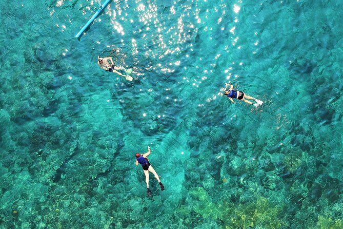 Snorkel Adventure Through the Sea of Cortez - Gearing Up for Adventure