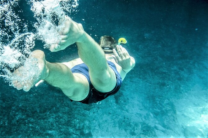 Snorkel Adventure Through the Sea of Cortez - Transportation and Pickup Details