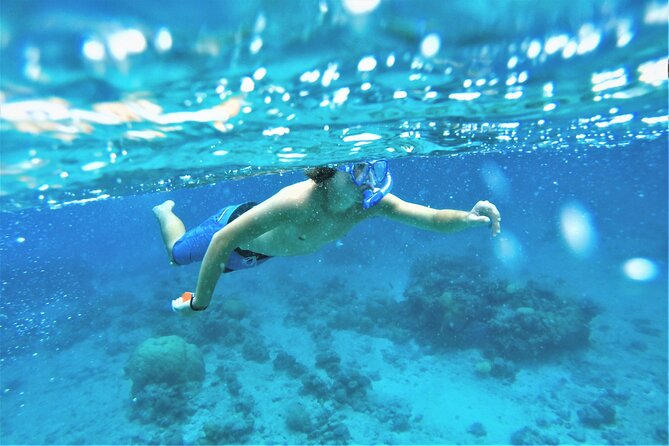 Snorkel Adventure Through the Sea of Cortez - Preparing for the Excursion