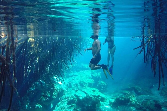 Snorkel Adventure Tour From Tulum - Small Group - All Inclusive - Snorkeling Locations