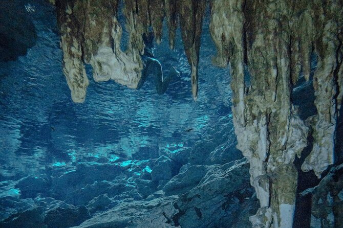 Snorkel Adventure Tour From Tulum - Small Group - All Inclusive - Professional Guide