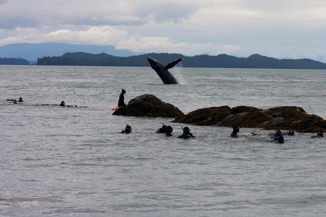 Snorkel Alaska - Overview of the Adventure