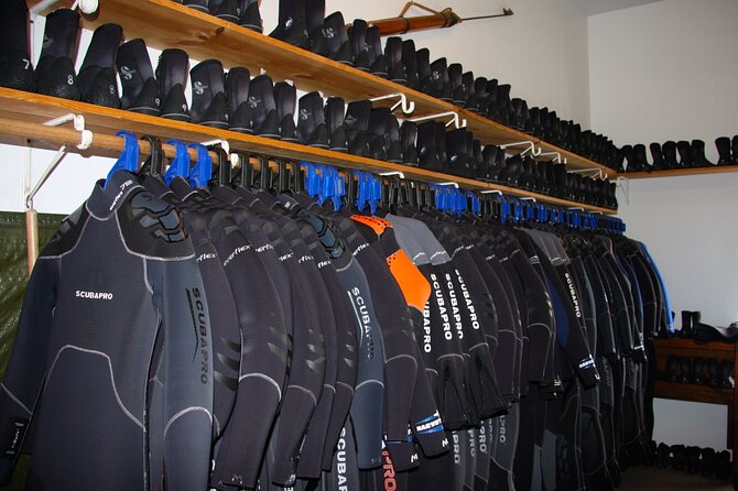 Snorkel Alaska - Participant Requirements