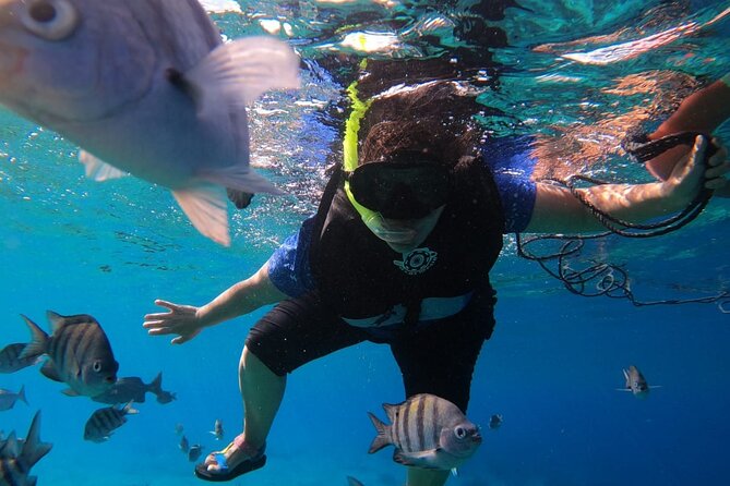 Snorkel Along the Coast, Explore Two Reefs by Chivis Del Mar - Recommendations and Restrictions