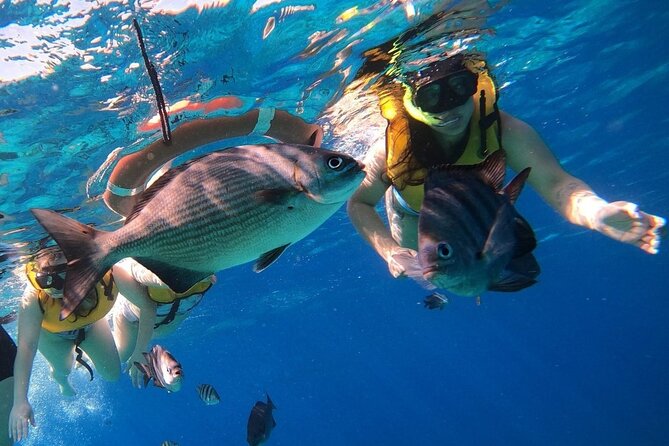Snorkel Along the Coast, Explore Two Reefs by Chivis Del Mar - Exploring the Reefs