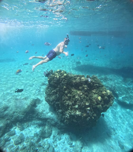 Snorkel Along the Coast With Chivis Del Mar. - Meeting Point and Packing List