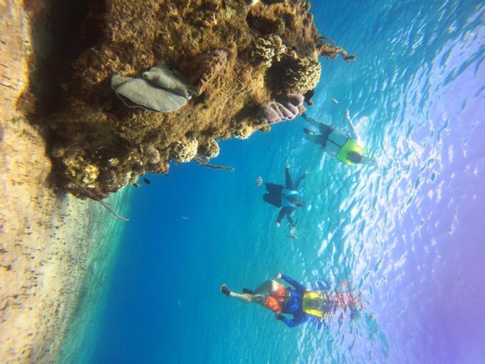 Snorkel Along the Coast With Chivis Del Mar. - Highlights and Attractions