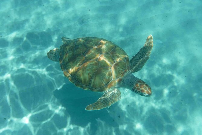 Snorkel and Beach Adventure Tour - Transport to Shete Boca