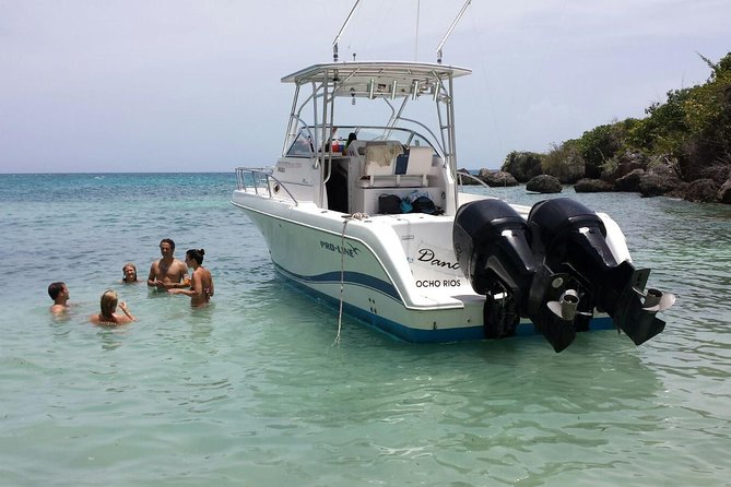 Snorkel and Beach Hopping Private Boat Tour From Ocho Rios - Accessibility and Participation