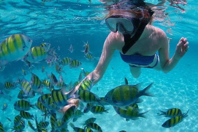 Snorkel and Kayak Adventure at Santa Maria Beach - Meeting and End Points