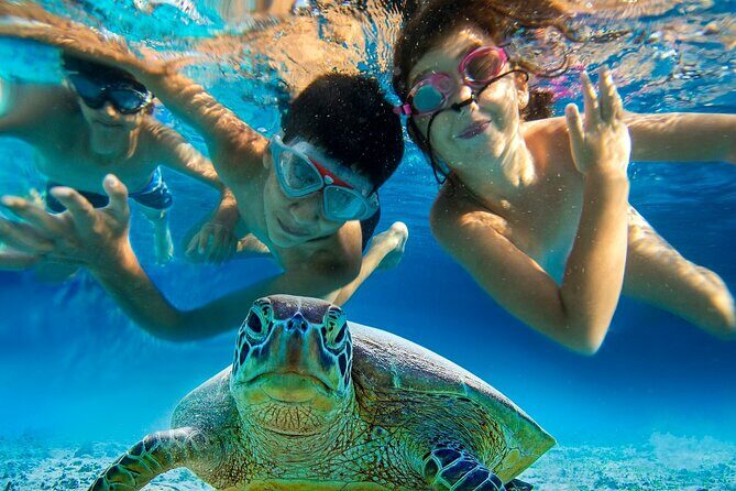 Snorkel and Sunset Cruise from Margaritaville Resort - FAQ