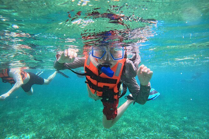 Snorkel at the Reef 2 HOURS Puerto Morelos National park - Key Points