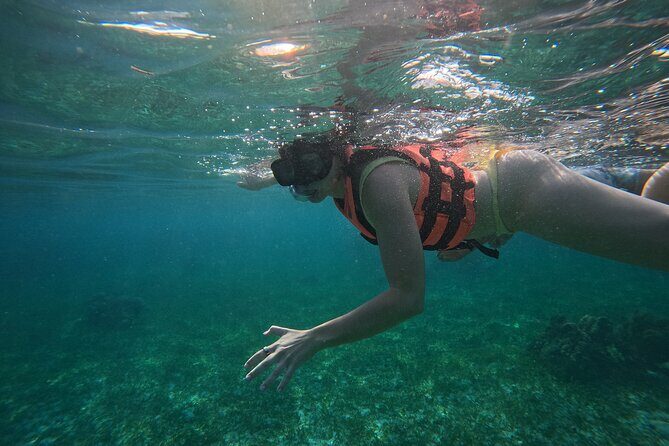 Snorkel at the Reef 2 HOURS Puerto Morelos National park - A Deep Dive into the Puerto Morelos Snorkeling Experience