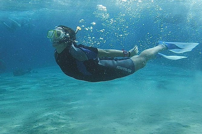 Snorkel at White Island & Ras Mohammed From Sharm El-Sheikh - Snorkeling Gear and Rental Details