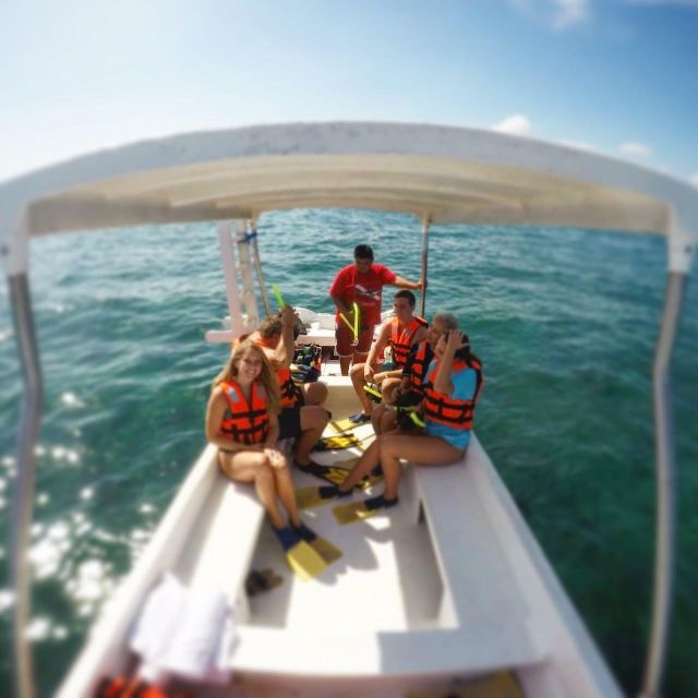 Snorkel + Cenotes Day With Transportation - Transportation and Logistics