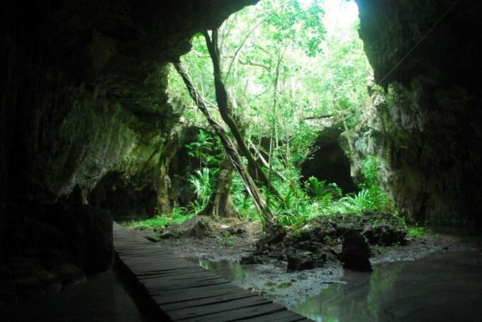 Snorkel + Cenotes Day With Transportation - Swimming Locations