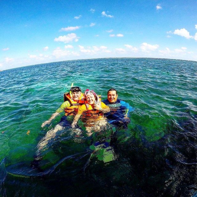 Snorkel + Cenotes Day With Transportation - Frequently Asked Questions