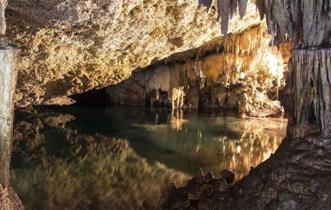 Snorkel Discovery - Turtles & Cenotes - Tour Availability