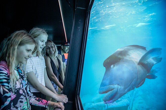 Snorkel & Dive the Reef: Sustainable, Scientific & Cultural Tour - Immersive Snorkeling and Diving Activities