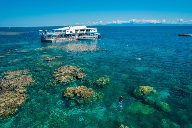 Snorkel & Dive the Reef: Sustainable, Scientific & Cultural Tour - Exclusive Access to Marine World Platform