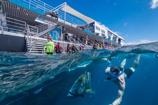 Snorkel & Dive the Reef: Sustainable, Scientific & Cultural Tour - Onboard Dining and Refreshment Options
