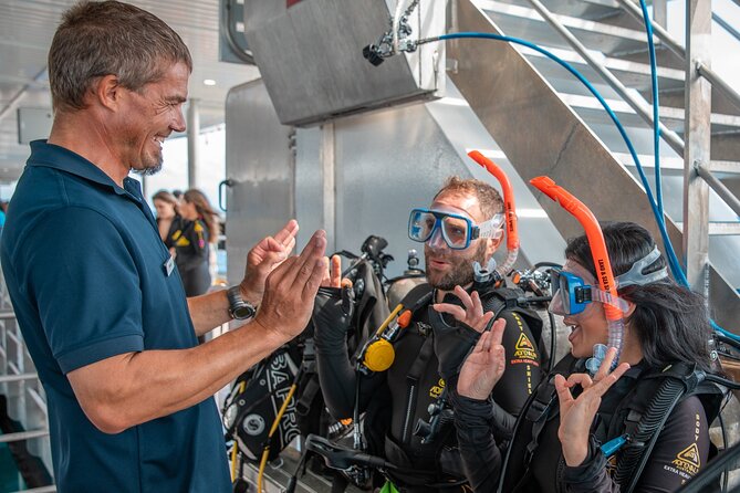 Snorkel & Dive the Reef: Sustainable, Scientific & Cultural Tour - Arrival, Departure, and Accessibility Details