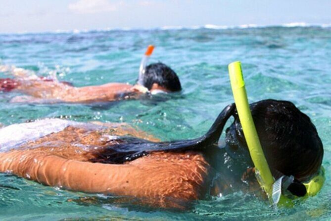 Snorkel & Dolphin Sightseeing Tour Aboard the Footloose - Authentic Experiences from Travelers