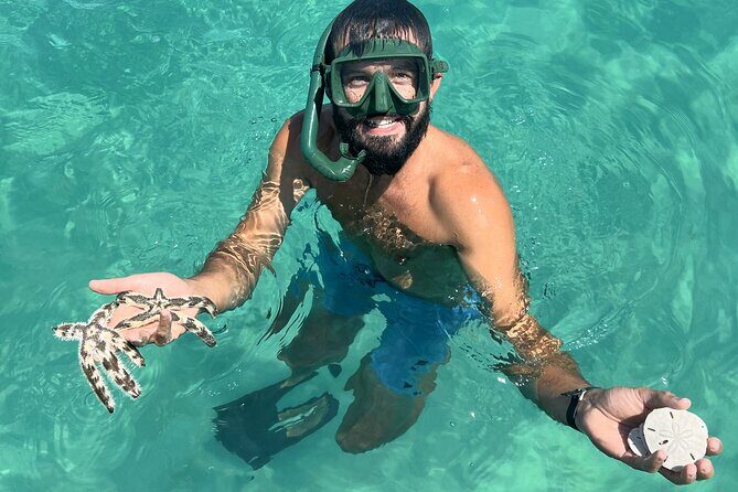 Snorkel & Dolphin Sightseeing Tour Aboard the Footloose - The Sum Up
