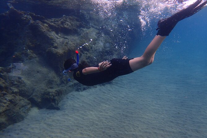 Snorkel Experience in Lanzarote - Inclusions