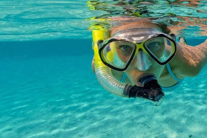 Snorkel Fort Lauderdale Jean Cousteaus Reef and Snorkel Trail - Snorkeling Equipment Provided