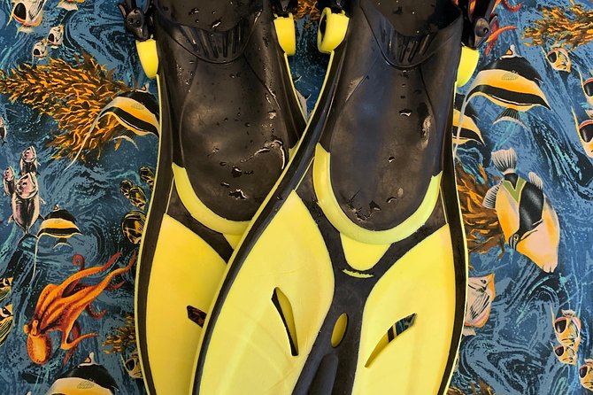 Snorkel Gears Near Hanauma Bay - Accessibility for Visitors