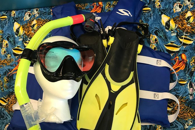 Snorkel Gears Near Hanauma Bay - Group Size Limitations