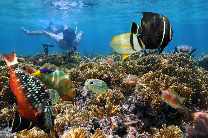 Snorkel Gears Near Hanauma Bay - Gear Return Requirement