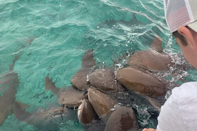 Snorkel HolChan Shark Ray Alley and Caye Caulker Manatee Spotting - Guides and Experience